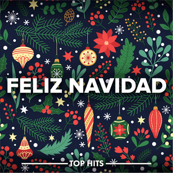 Feliz Navi Dad – means (prosperous new year… be happy) – Ukulele Chords